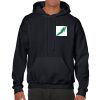 Heavy Blend Adult Hooded Sweatshirt Thumbnail