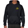 Heavy Blend Adult Hooded Sweatshirt Thumbnail