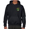 Heavy Blend Adult Hooded Sweatshirt Thumbnail