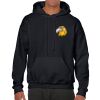 Heavy Blend Adult Hooded Sweatshirt Thumbnail