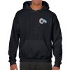 Heavy Blend Adult Hooded Sweatshirt Thumbnail