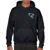 Heavy Blend Adult Hooded Sweatshirt Thumbnail