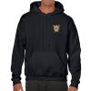 Heavy Blend Adult Hooded Sweatshirt Thumbnail