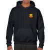 Heavy Blend Adult Hooded Sweatshirt Thumbnail