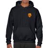 Heavy Blend Adult Hooded Sweatshirt Thumbnail