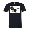 Unisex Softstyle® T-Shirt Thumbnail