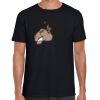 Softstyle Adult Short Sleeve T-Shirt Thumbnail