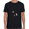 Softstyle Adult Short Sleeve T-Shirt Thumbnail
