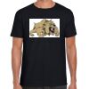 Softstyle Adult Short Sleeve T-Shirt Thumbnail
