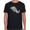 Softstyle Adult Short Sleeve T-Shirt Thumbnail