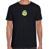Softstyle Adult Short Sleeve T-Shirt Thumbnail