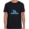 Softstyle Adult Short Sleeve T-Shirt Thumbnail