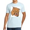 Apparel ® Unisex Cotton Tee Thumbnail