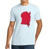 Apparel ® Unisex Cotton Tee Thumbnail