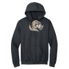 Heavy Blend Hooded Sweatshirt Thumbnail